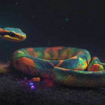 A colorful snake moving through a digital world